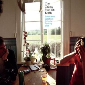 The Tallest Man on Earth - Sometimes the Blues is Just a Passing Bird